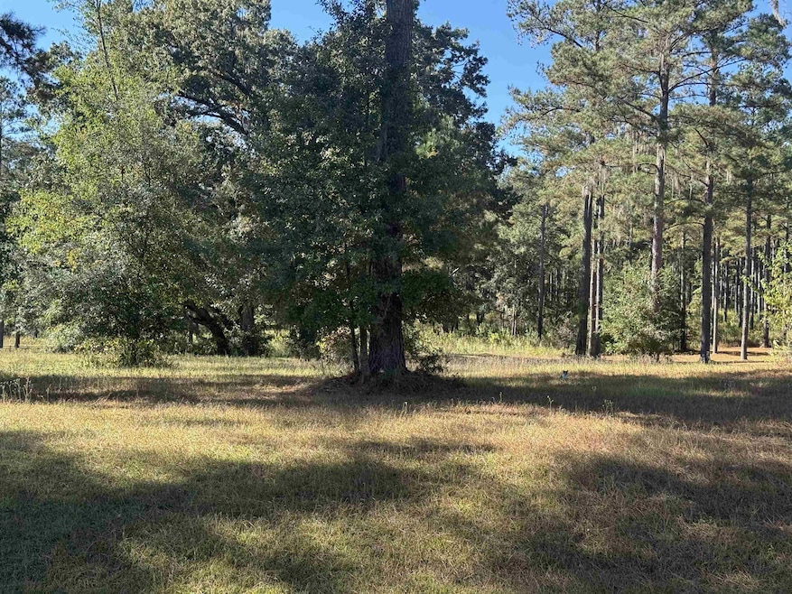 Lot 8A Lake Pisgah Dr, Tallahassee, FL 32309 - photo 1