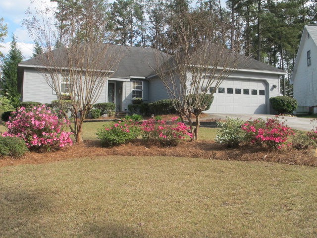 Main View