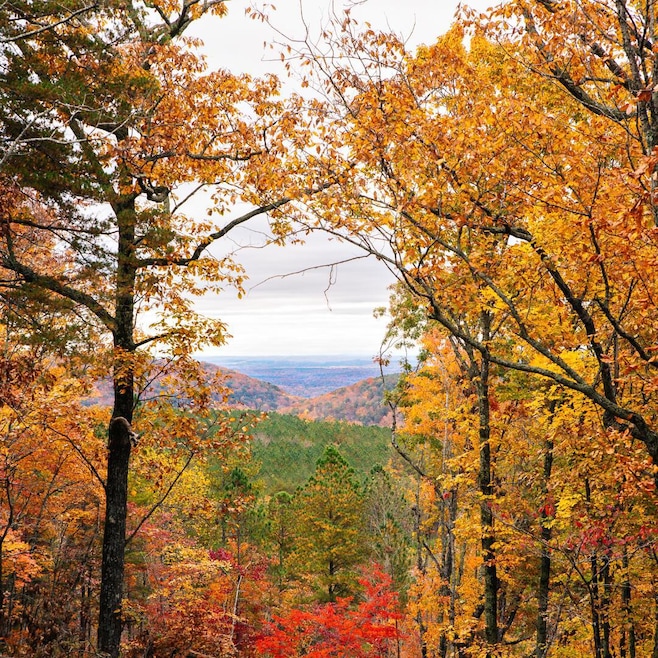 0 Worley Rd unit 1515475, Soddy-Daisy, TN 37379 - photo 1