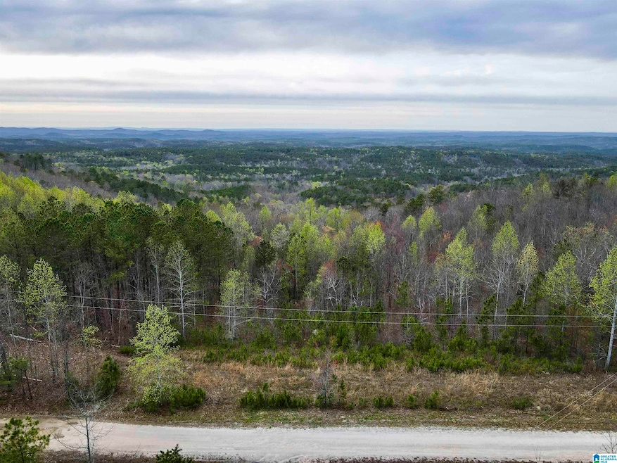 Sold $23,000 • Co-Listing Agent