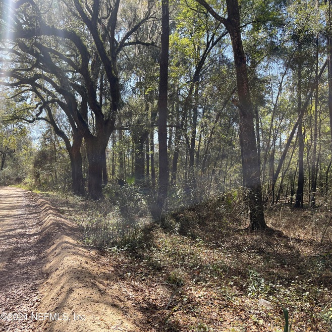 0 Yawn Avenue, Interlachen, Florida