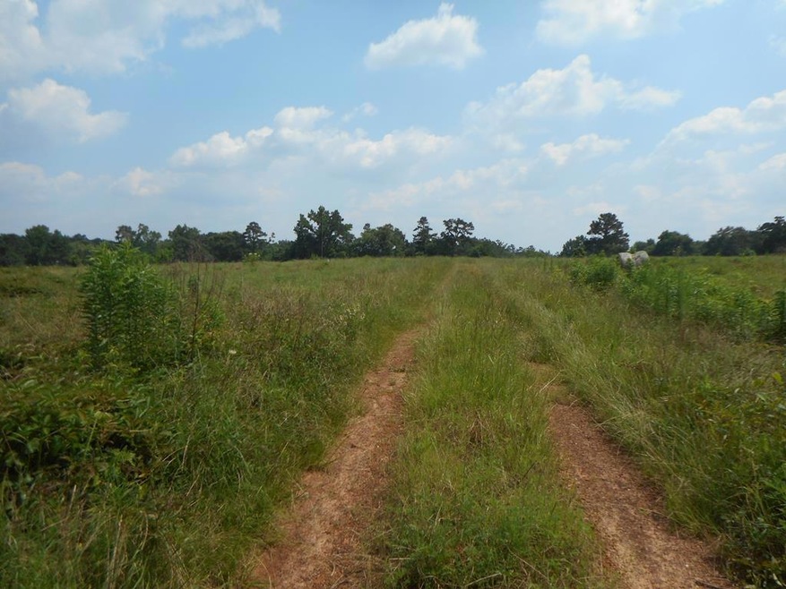 400 BLK County Road 134, Garrison, TX 75946 - photo 1
