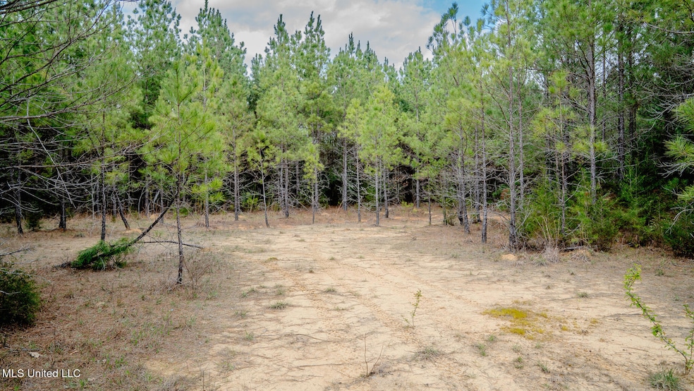 0000 Elijah Graham Rd, Noxapater, MS 39346 - photo 1
