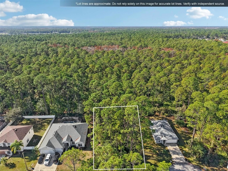 7 Riddle Place, Palm Coast, FL 32164 - photo 1