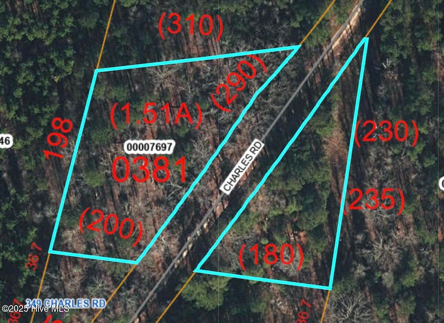 0 Charles, Eagle Springs, NC 27242 - photo 1