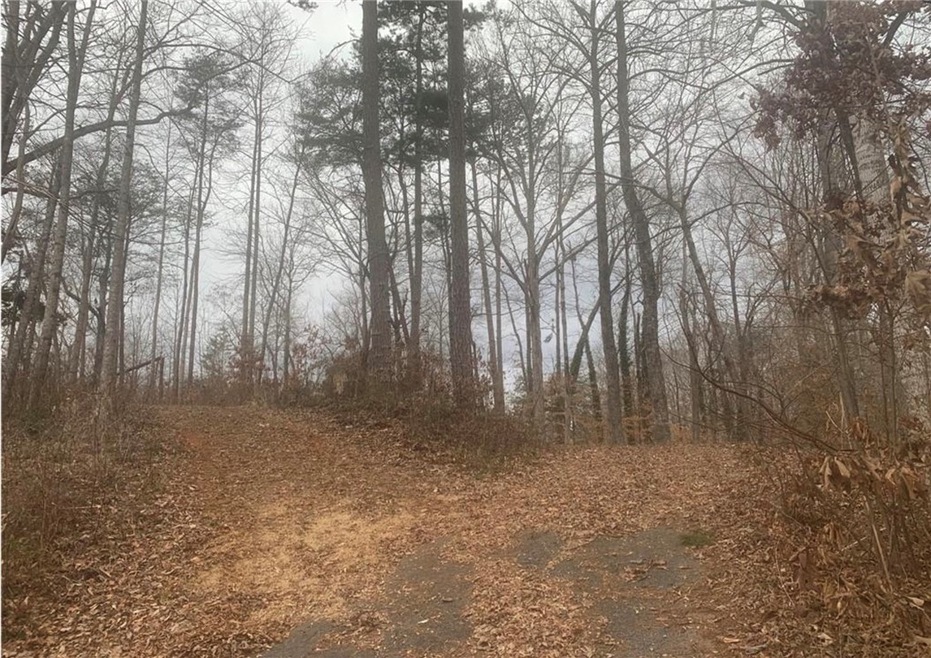 00 N Catherine St, Walhalla, SC 29691 - photo 1