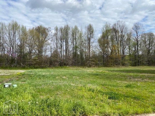 0 William Hall Dr, Paragould, AR 72450 - photo 1