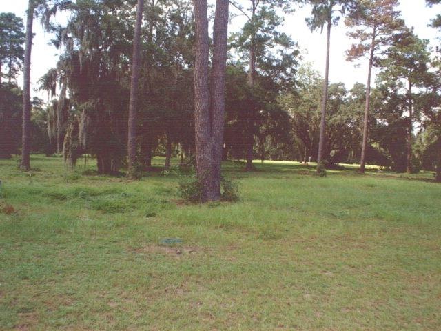 26 Sutherland Bluff Rd, Townsend, GA 31331 - photo 1