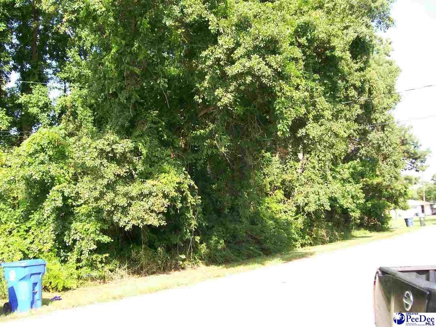 00 Graham Ave, Myrtle Beach, SC 29577 - photo 1