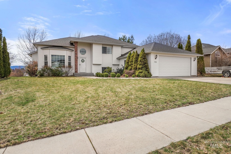 393 Pintail Ln, Moscow, ID 83843 - photo 1