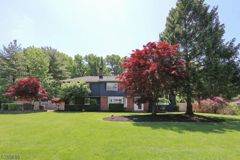 20 Aberdeen Rd, Scotch Plains, NJ 07076 - photo 1