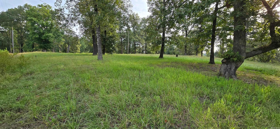 102 Owasso Trail, Bismarck, AR 71929 - photo 1