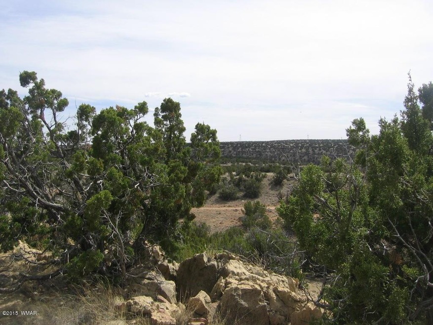 Great Land!