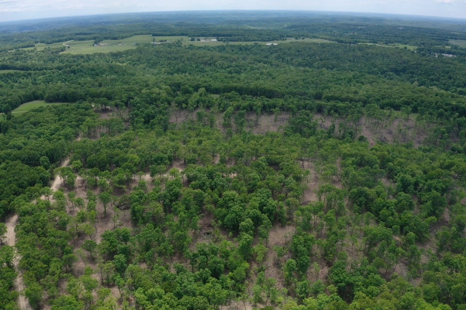 TBD Missouri 7, Roach, MO 65787 - photo 1