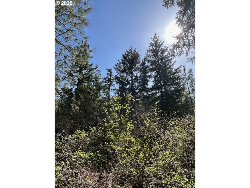 0 Pothole Rd unit 781986575, Goldendale, WA 98620 - photo 1