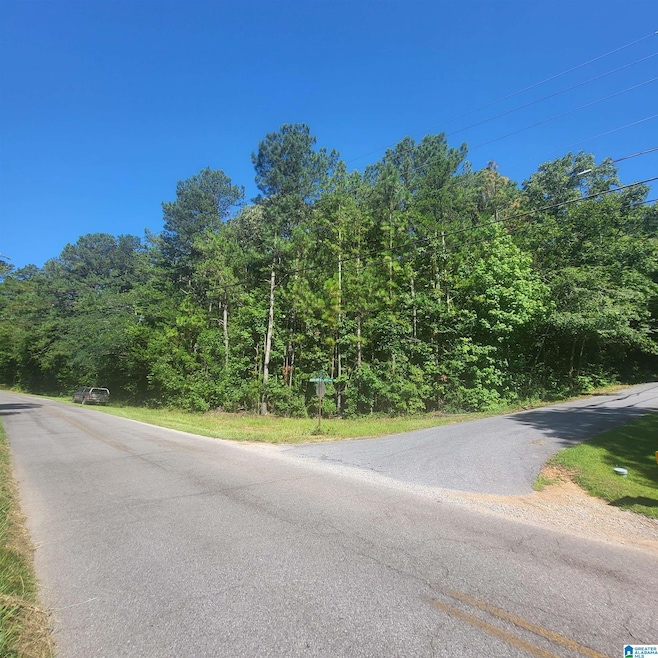 0 Grogan Rd, Talladega, AL 35160 - photo 1