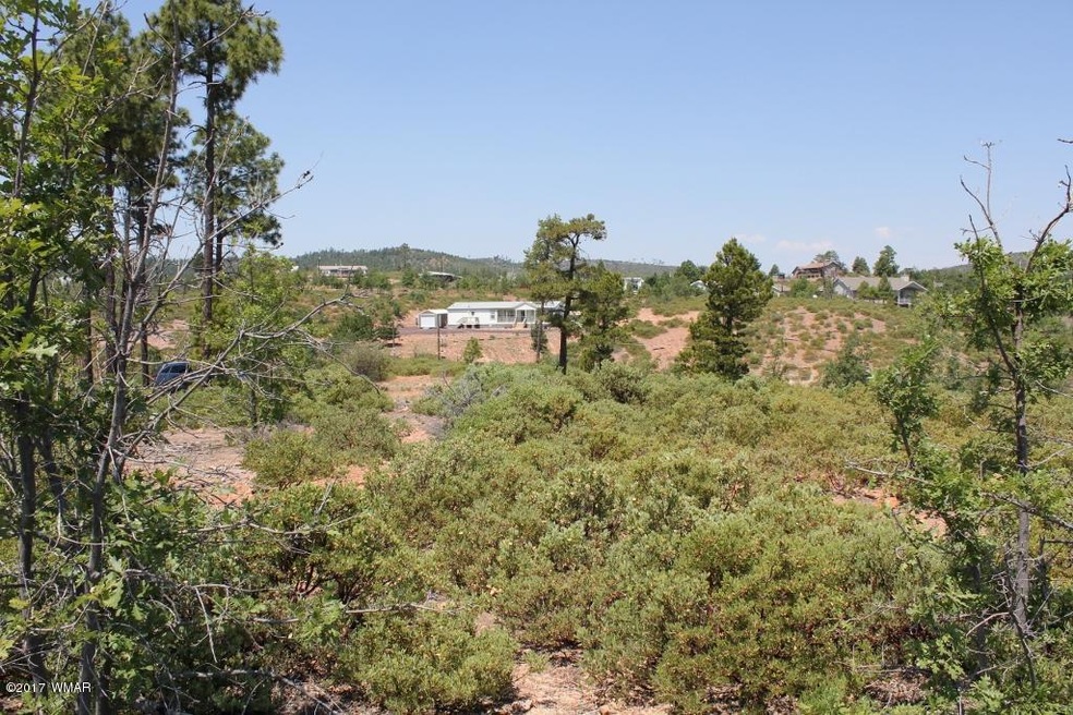 6288 Bull Elk Run, Show Low, AZ 85901 - photo 1