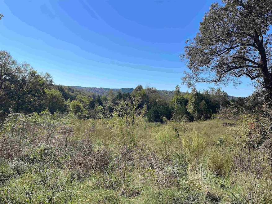 2780 Hardin Creek Rd, Clifton, TN 38425 - photo 1