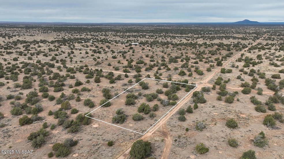 3976 High Grove Rd unit 225, Valle, AZ 86046 - photo 1