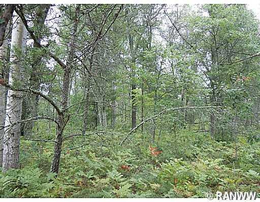 0 Hwy Ff unit 881004, Webster, WI 54893 - photo 1