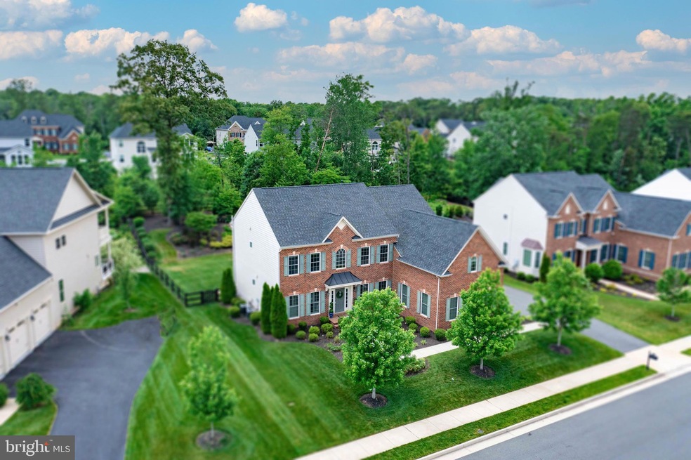 41656 Revival Dr, Ashburn, VA 20148 - photo 1