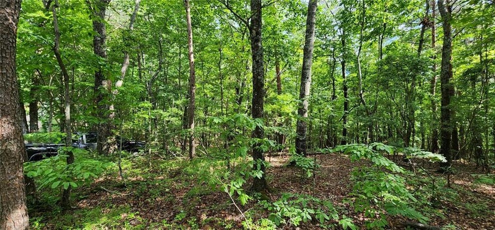 0 High Country Rd unit 7290326, Talking Rock, GA 30175 - photo 1