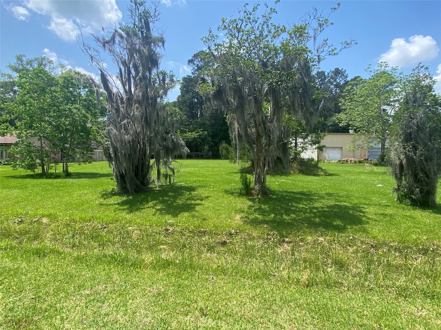 0000 Shady Oak Dr, Hockley, TX 77447 - photo 1