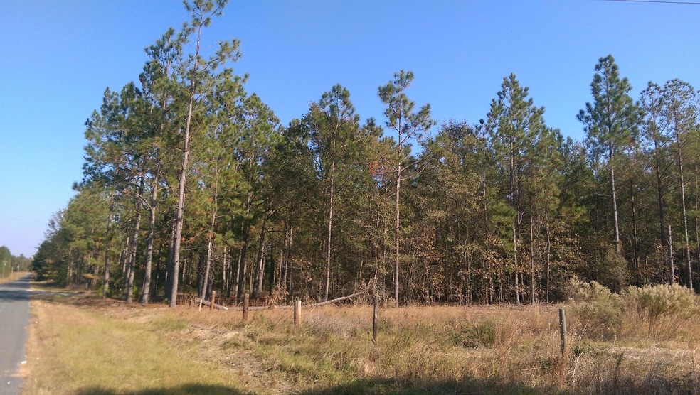 IMAG2839 (2)