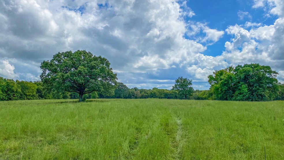 View of Land