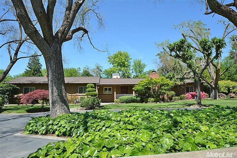 Spacious estates with many mature trees located ne