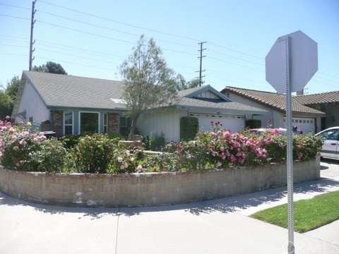 Street front Corner