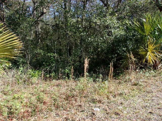 Sold $12,000 • Co-Listing Agent