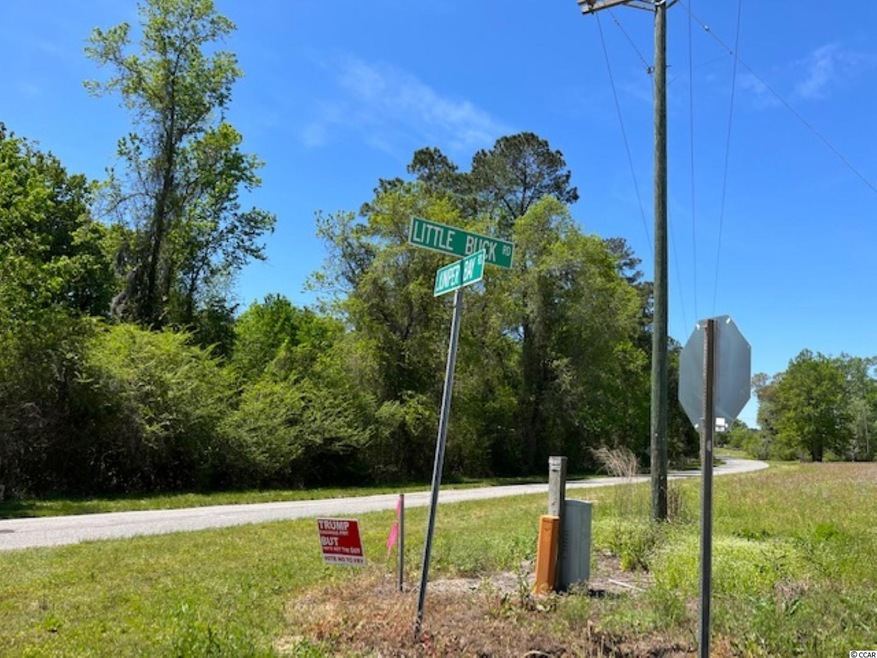 1663 Little Buck Rd, Conway, SC 29527 - photo 1