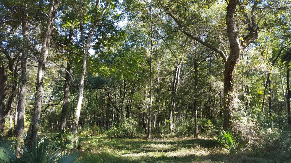 0 Old Rosebud Trail unit 15027315, Awendaw, SC 29429 - photo 1