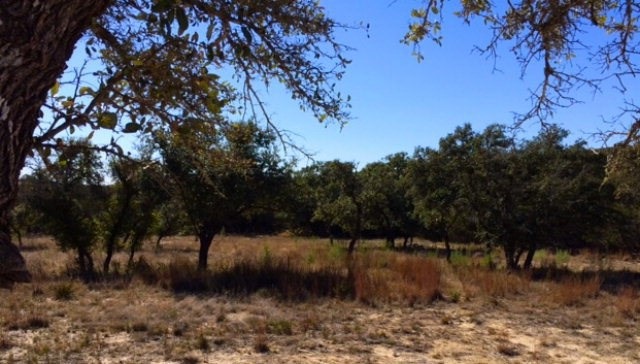 0 Lower Crabapple Rd unit n/a 73081, Fredericksburg, TX 78624 - photo 1
