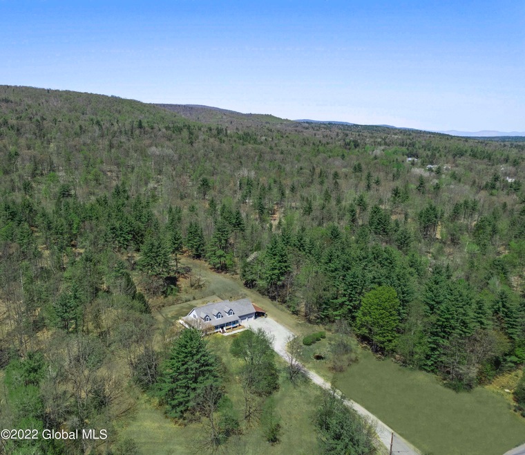 494 Coy Rd, Greenfield Center, NY 12833 - photo 1