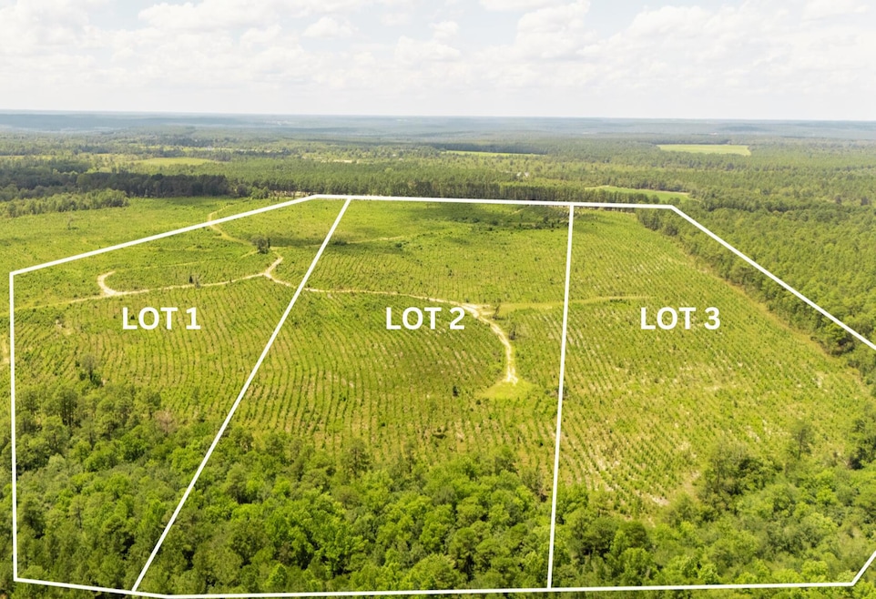 Lot 1 3 Notch Rd, Monetta, SC 29105 - photo 1