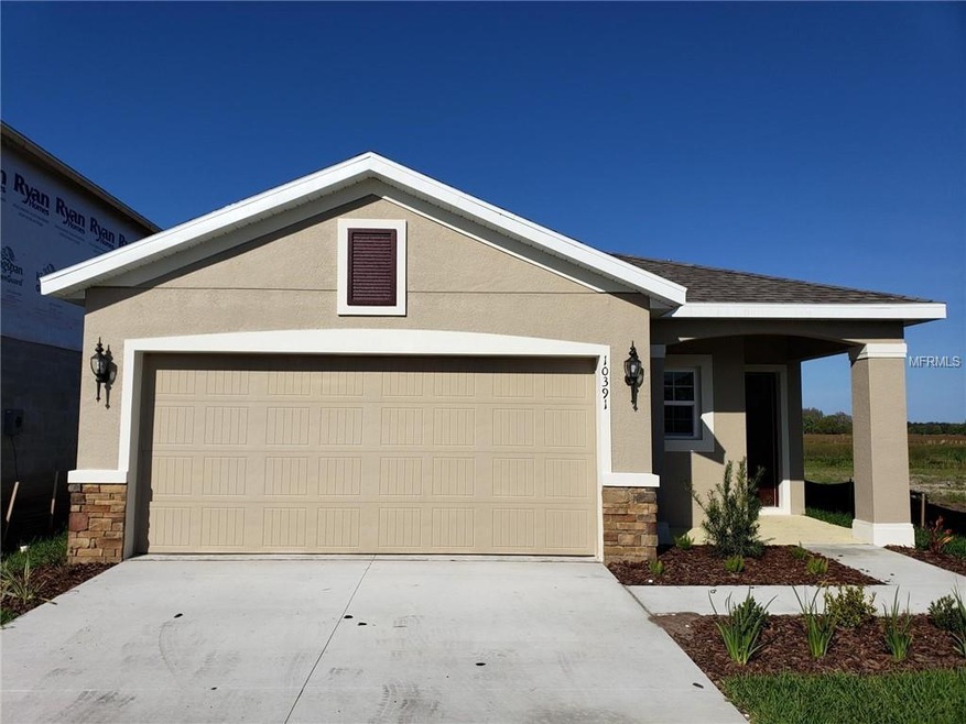 10391 Hawks Landing Dr, Land O Lakes, FL 34638 - photo 1