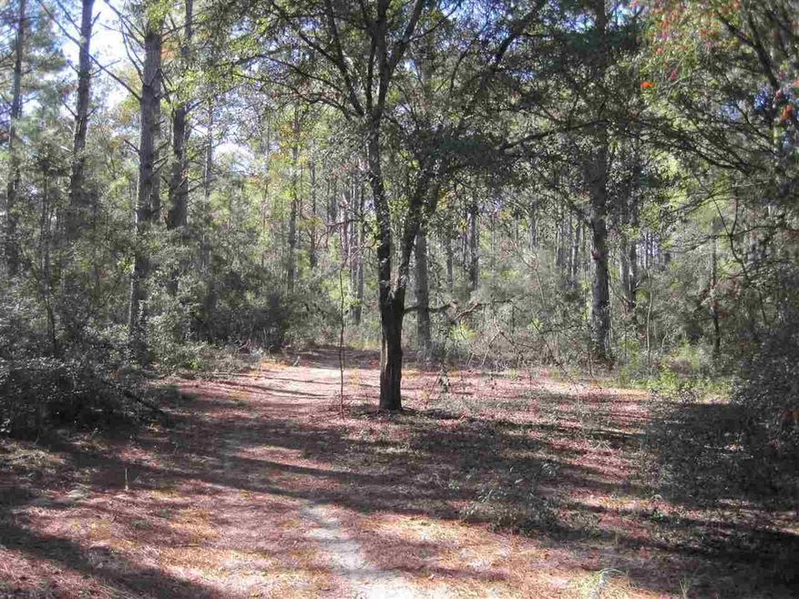 2 Lots Crawfordville Hwy, Crawfordville, FL 32327 - photo 1
