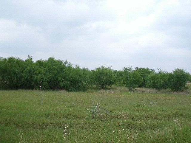 0 Mile 13 N, Progreso Lakes, TX 78596 - photo 1