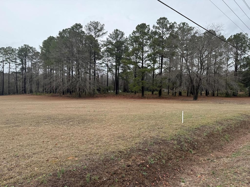 2491 Wedgefield Rd, Sumter, SC 29154 - photo 1