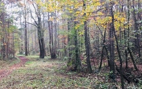 LT 6 Pleasant Oak Trail, Ellijay, GA 30540 - photo 1