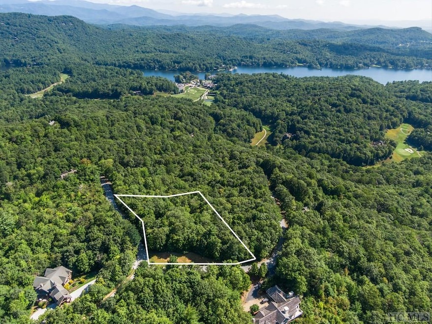 TM I 57 Toxaway Ct, Lake Toxaway, NC 28747 - photo 1