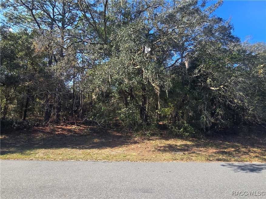 11370 N Ortega Point, Dunnellon, FL 34433 - photo 1