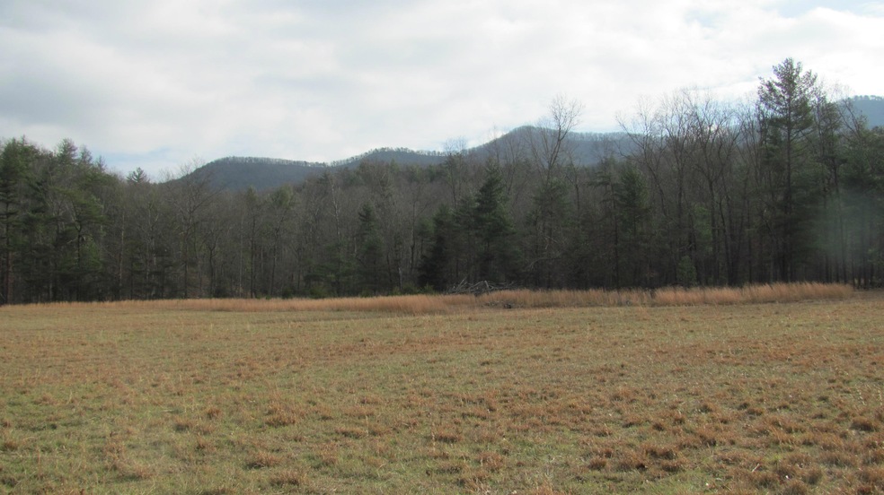 View of Brush Mountain