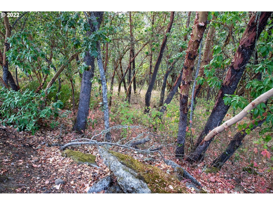 0 North Ct unit 594381467, Riddle, OR 97469 - photo 1