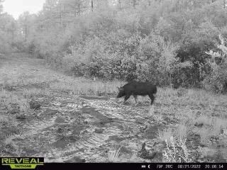 0 SW Prine Rd unit 19604535, Lee, FL 32059 - photo 1