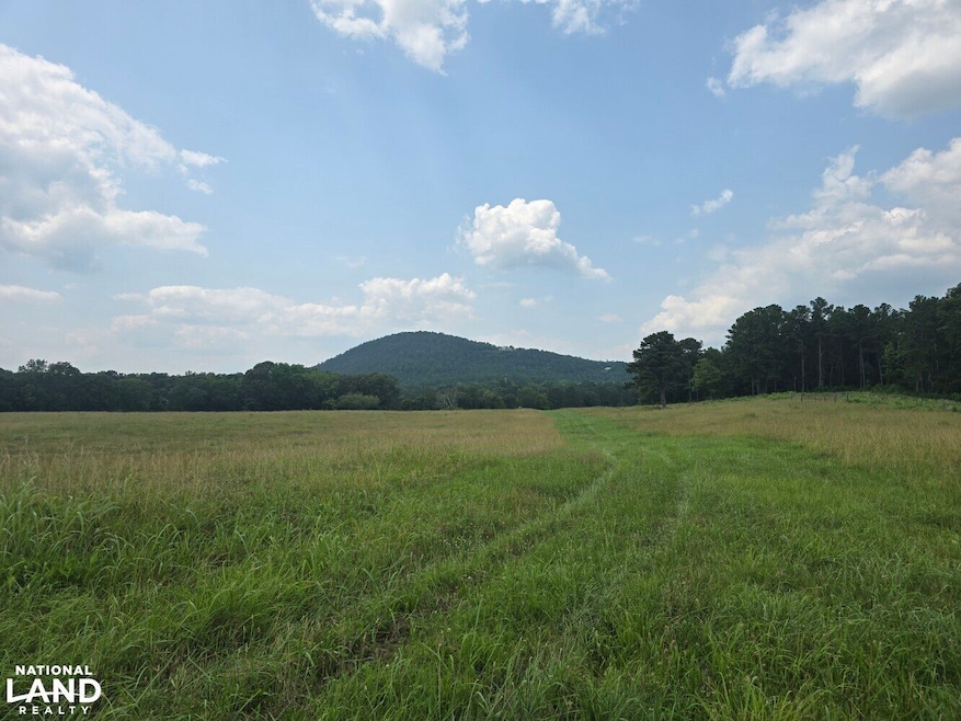 0 State Hwy 21, Sycamore, AL 35149 - photo 1