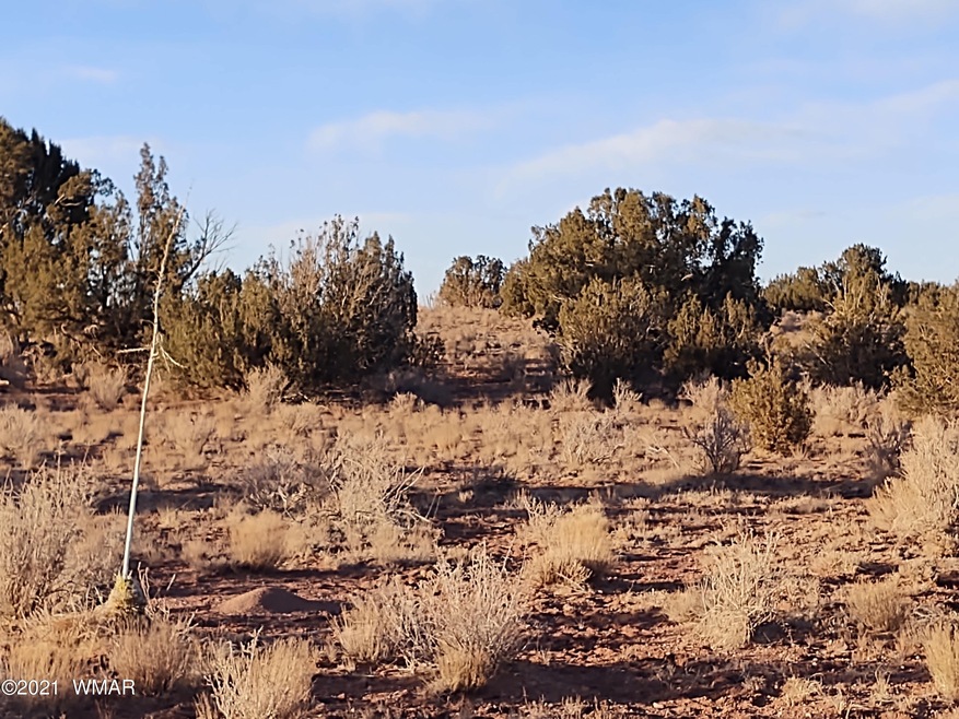 39 acres with Excellent access!