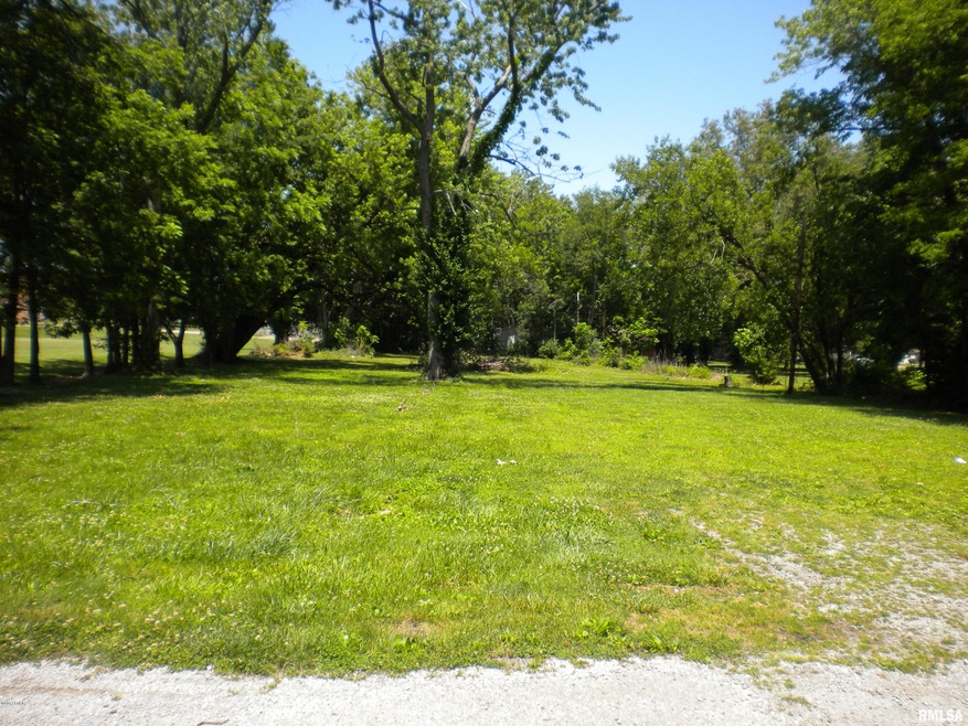 1208 W Raymond St, Harrisburg, IL 62946 - photo 1